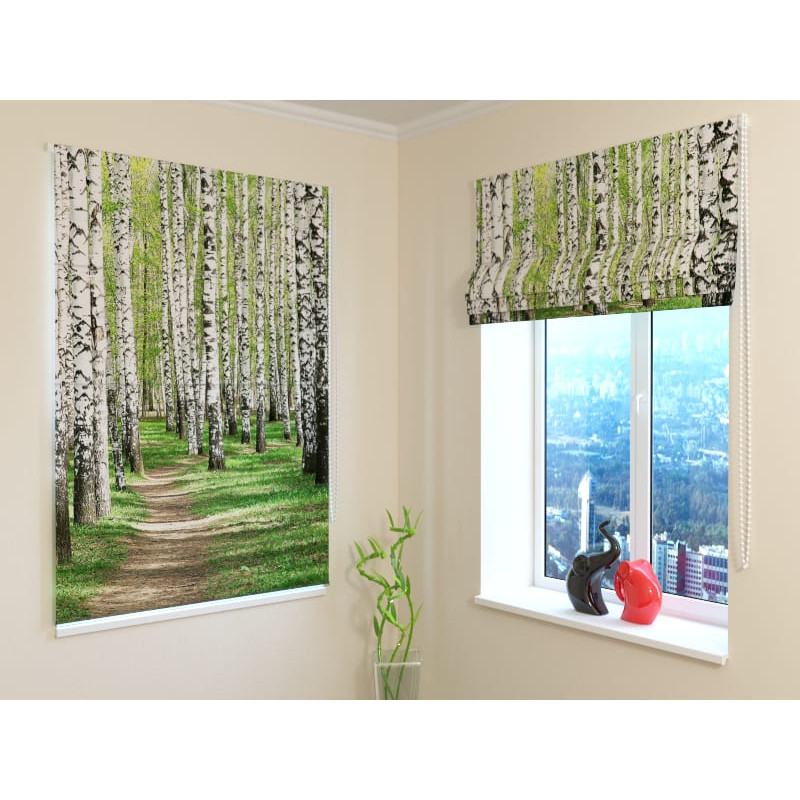 92,99 € Roman blind - with birch trees in the woods - FIREPROOF