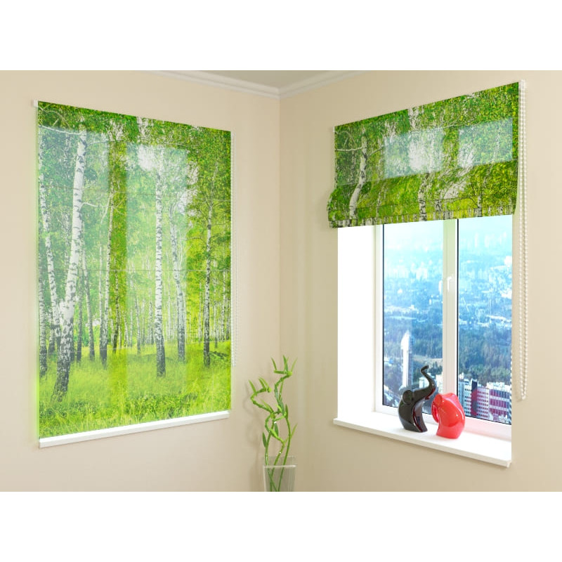 68,00 € Roman blind - with birch trees