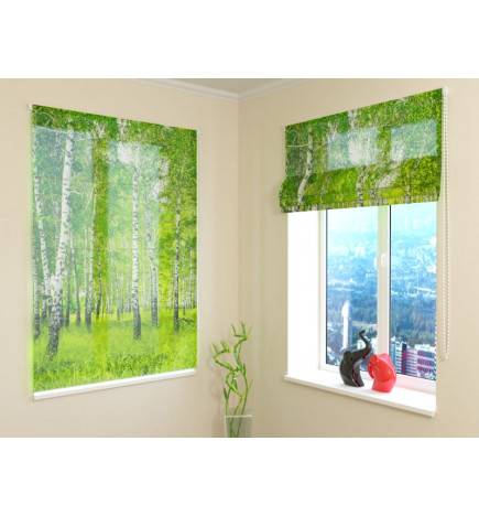 68,00 € Roman blind - with birch trees