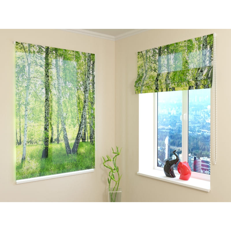 68,00 € Roman blind - with a birch forest