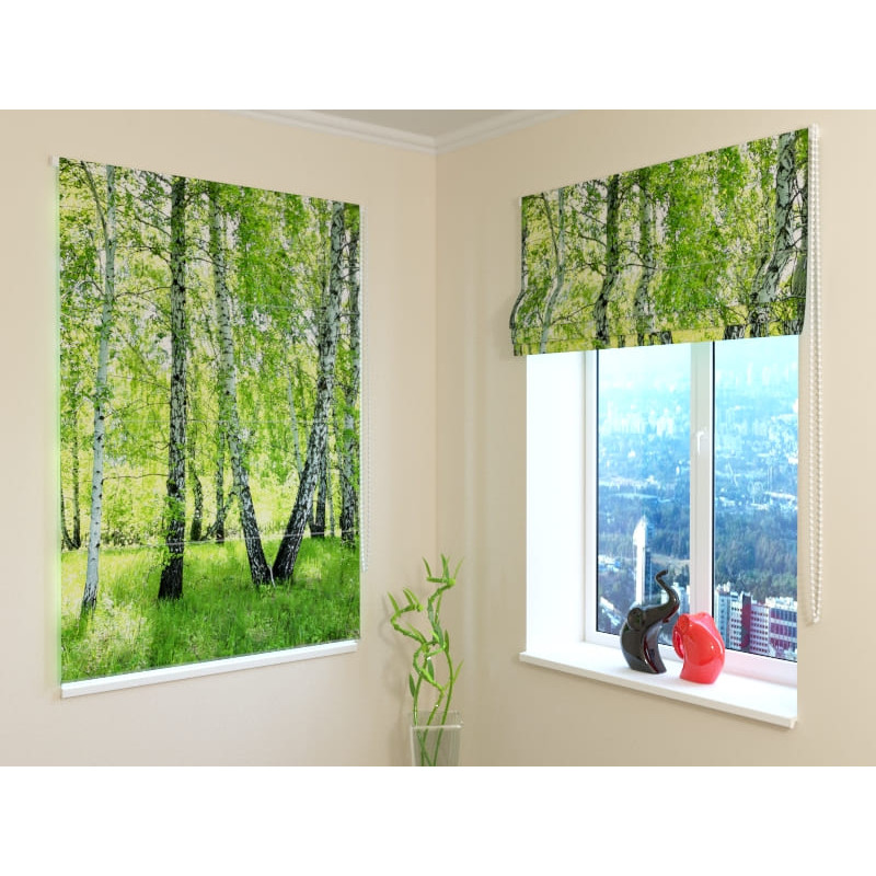 92,99 € Roman blind - with a birch forest - FIRE RETARDANT