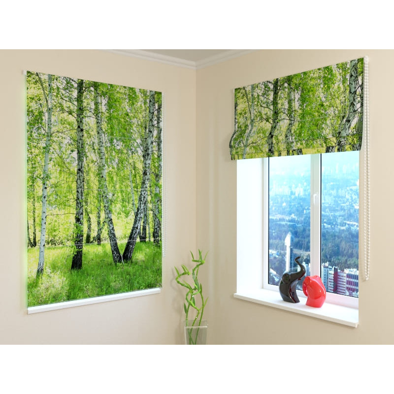 68,50 € Roman blind - with a birch forest - BLACKOUT