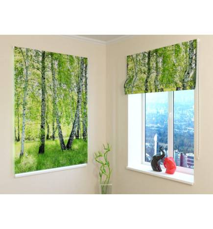 68,50 € Roman blind - with a birch forest - BLACKOUT
