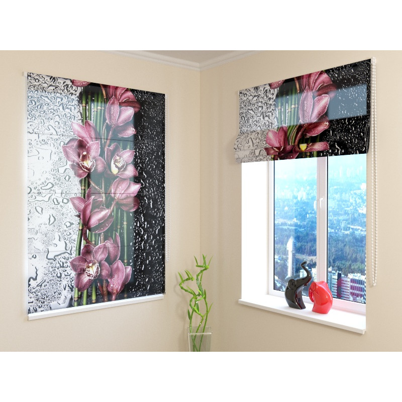 68,00 € Roman blind - with dew and purple flowers