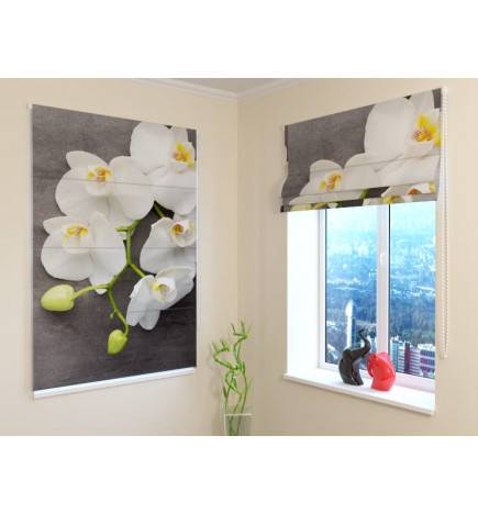 92,99 € Rimska zavesa - bele rože na steni - OGNJEVARNA