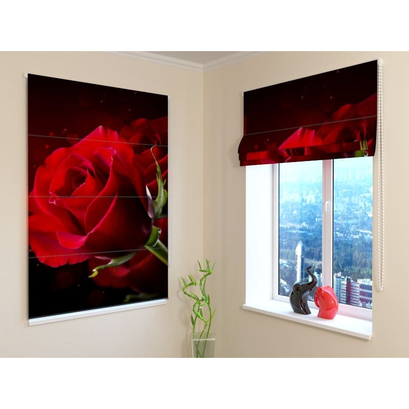 68,50 € Roman blind - with a red rose - DARKENING