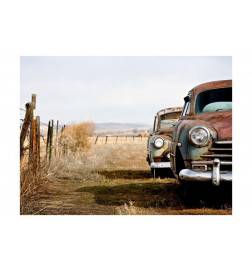 Fotomurale con le macchine americane vintage - Arredalacasa