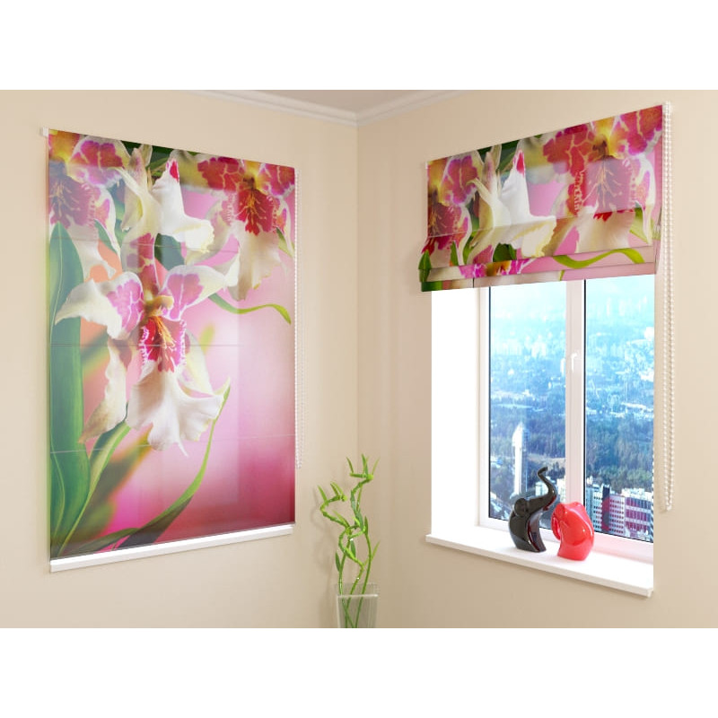 68,00 € Roman blind - with elegant orchids