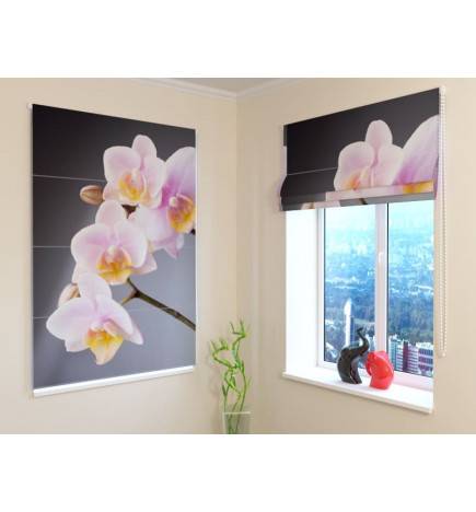 Vouwgordijn - witte orchideeën - VUURPROOF