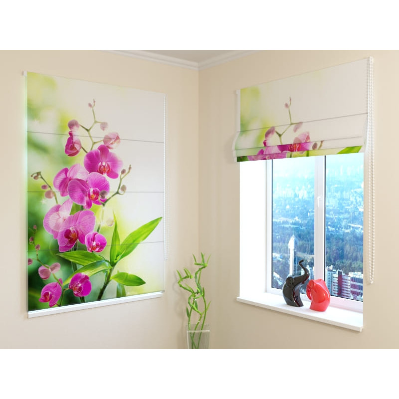 92,99 € Roman blind - orchids in bloom - FIREPROOF