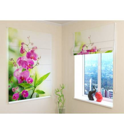 Roman blind - orchids in bloom - FIREPROOF