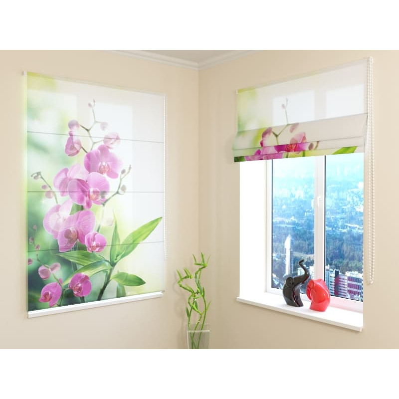 68,50 € Raffrollo - Blühende Orchideen - OSCURANTE