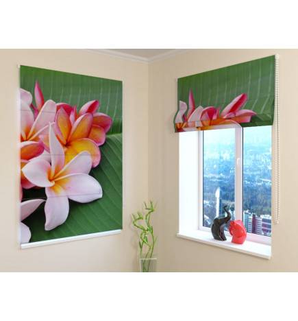 92,99 € Roman blind - with tropical flowers - FIREPROOF