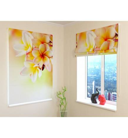 Roman blind - with frangipani flowers - OSCURANTE