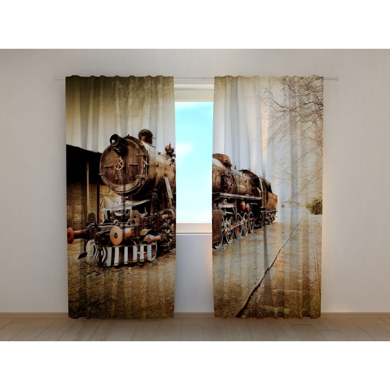 1,00 € Carpa personalizada - con un tren lento 1,00 € Carpa personalizada - con un tren lento