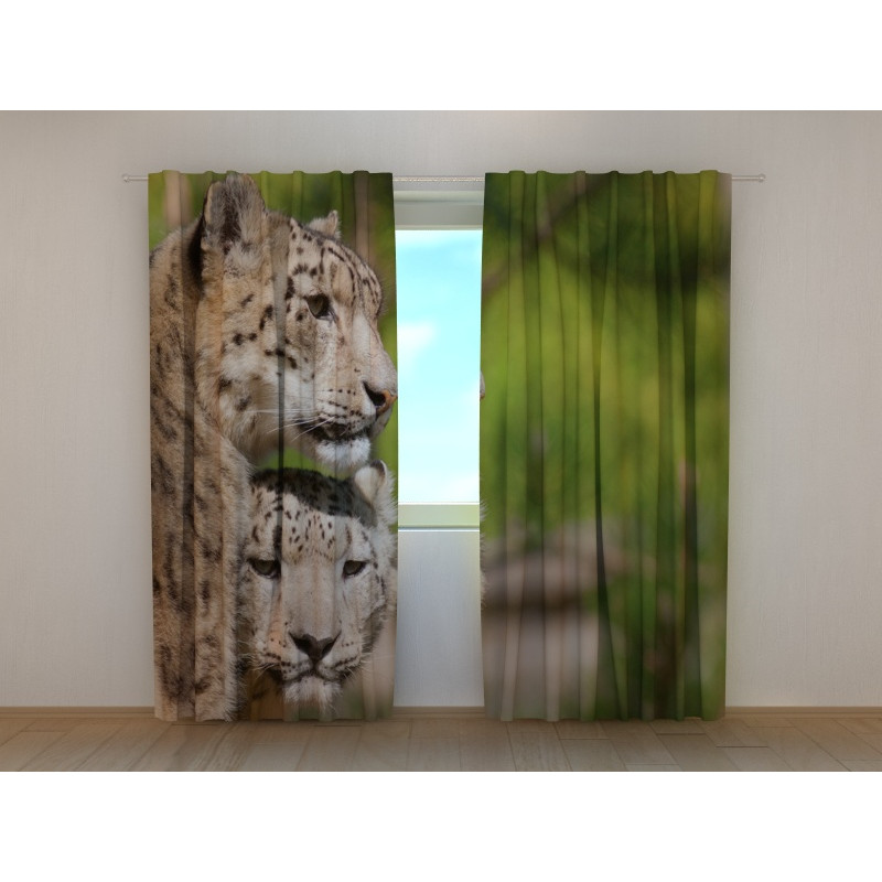 0,00 € Carpa personalizada - mi esposa es una bestia