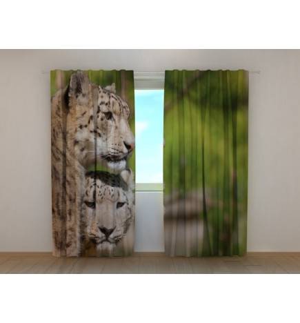 0,00 € Mukautettu teltta - vaimoni on peto