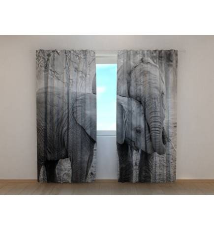 0,00 € Maßgeschneidertes Zelt – mit zwei liebevollen Elefanten