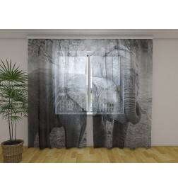 Maßgeschneidertes Zelt – mit zwei liebevollen Elefanten