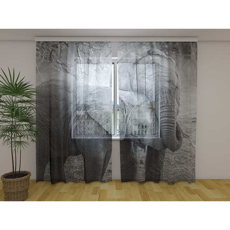 0,00 € Custom tent - featuring two loving elephants 0,00 € Custom tent - featuring two loving elephants