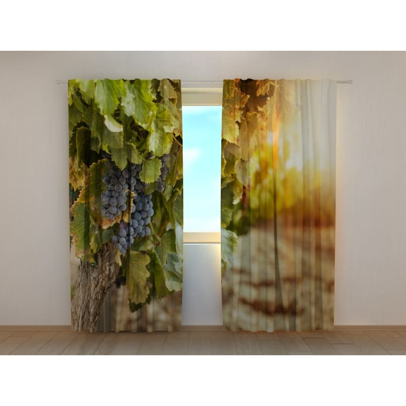 0,00 € Gepersonaliseerde tent - met druiventrossen