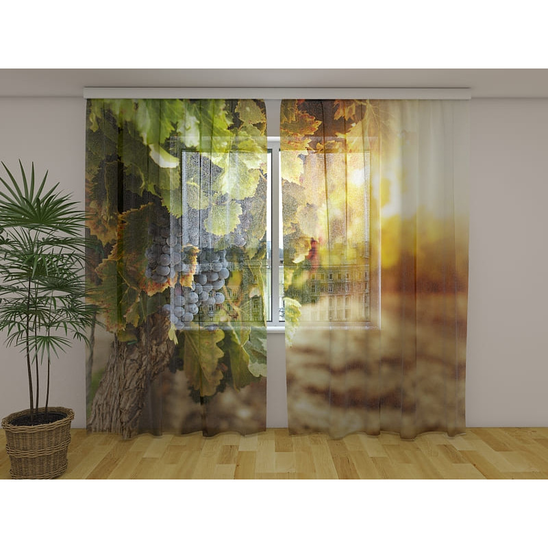 0,00 €Tenda personalizada - com cachos de uvas 0,00 €Tenda personalizada - com cachos de uvas