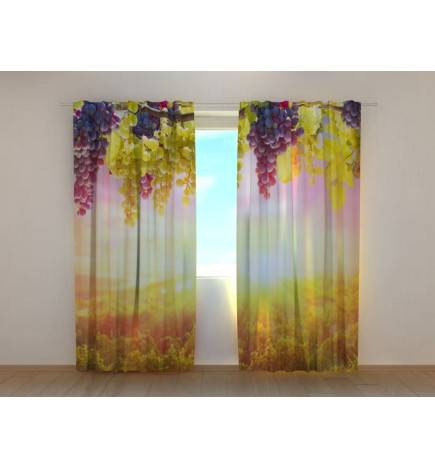 0,00 €Tente personnalisée - avec des raisins dans les champs