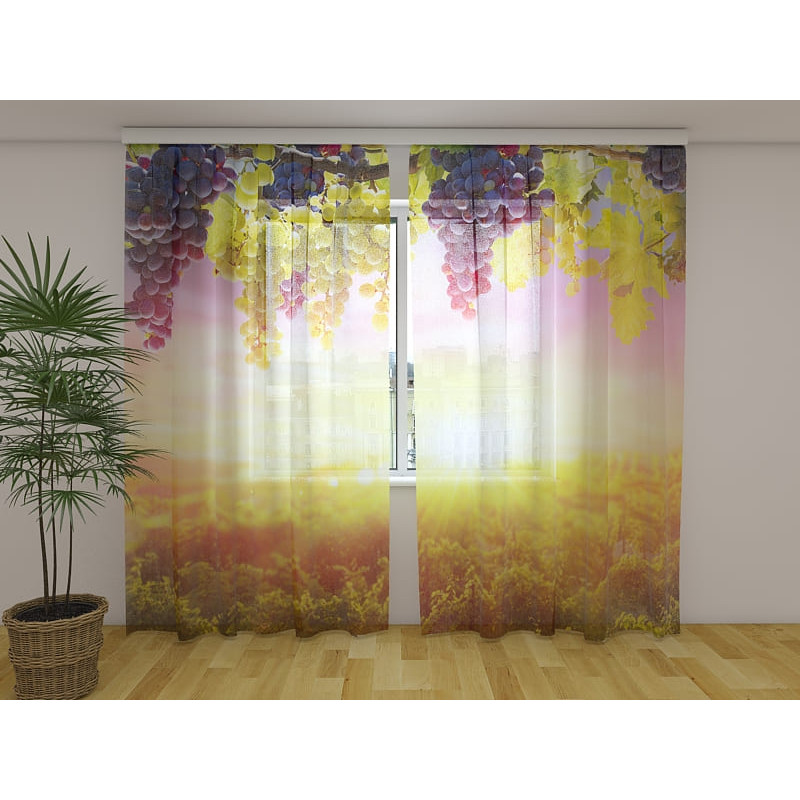 1,00 €Tenda personalizzata - con l'uva nei campi