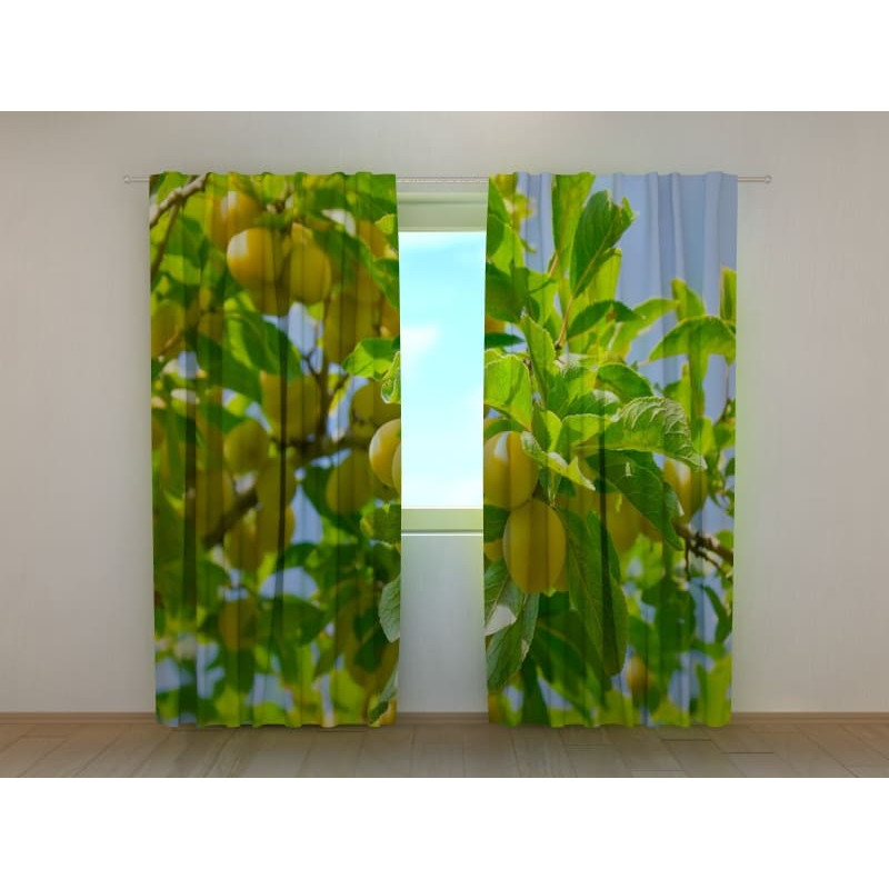 0,00 € Custom curtain - with apricots