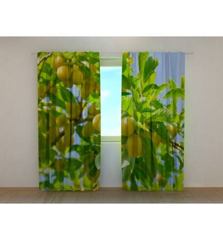0,00 € Custom curtain - with apricots