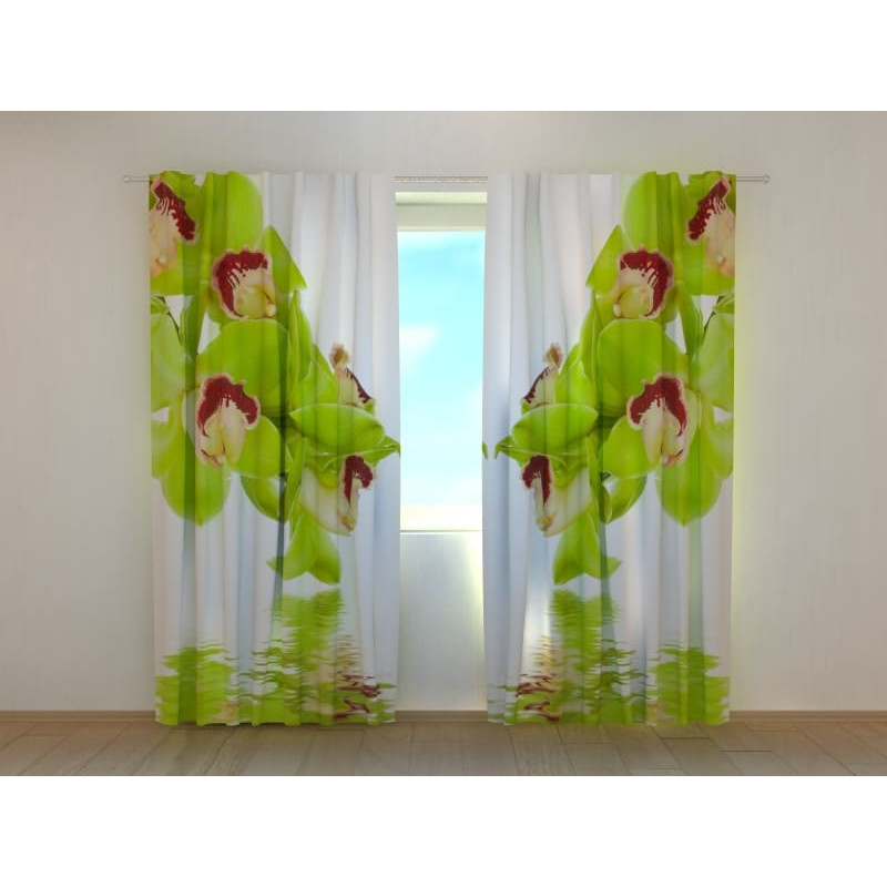 0,00 € Carpa personalizada - con limones junto al lago 0,00 € Carpa personalizada - con limones junto al lago