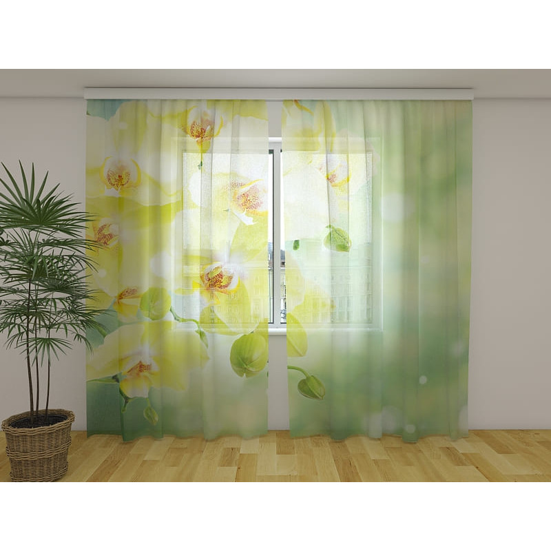 0,00 € Custom curtain - with lemons and orchids