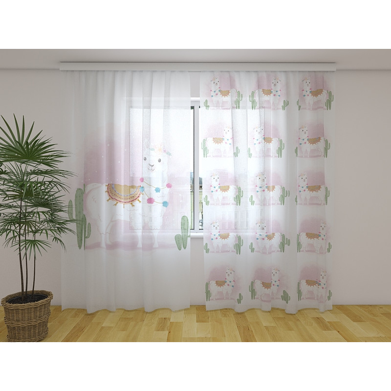 0,00 € Aangepaste tent - met baby alpaca's