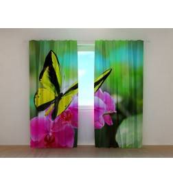 0,00 € Custom curtain - yellow butterfly and purple flowers