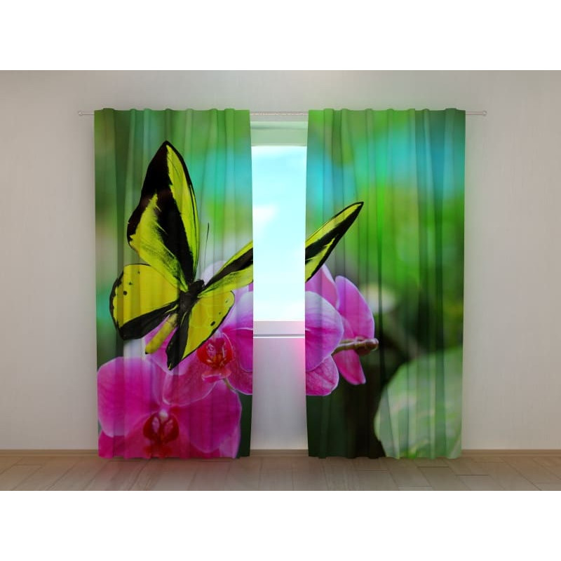 1,00 €Tenda personalizzata - farfalla gialla e fiori viola
