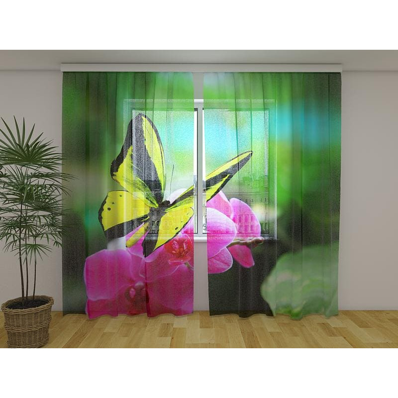 0,00 € Custom curtain - yellow butterfly and purple flowers