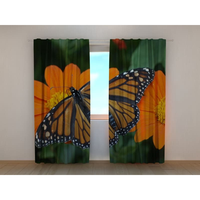 0,00 €Cortina personalizada - com uma mariposa e flores