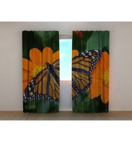 0,00 € Personalized curtain - with a moth and flowers