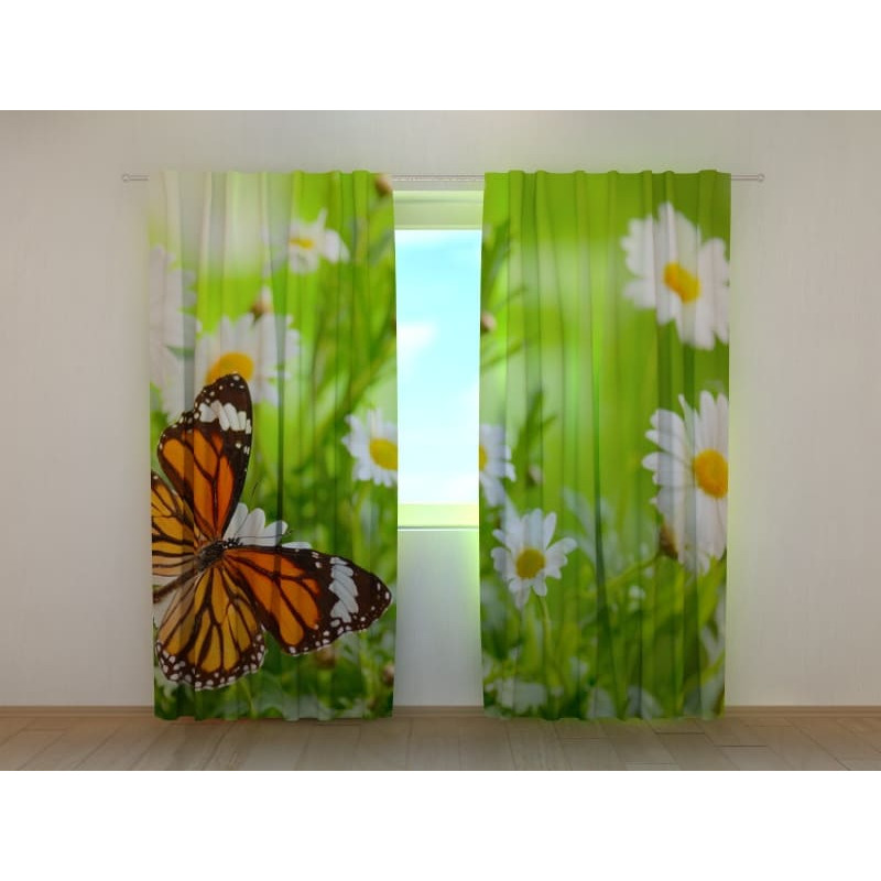 0,00 € Maßgeschneiderter Vorhang – Schmetterling und Kamillenblüten