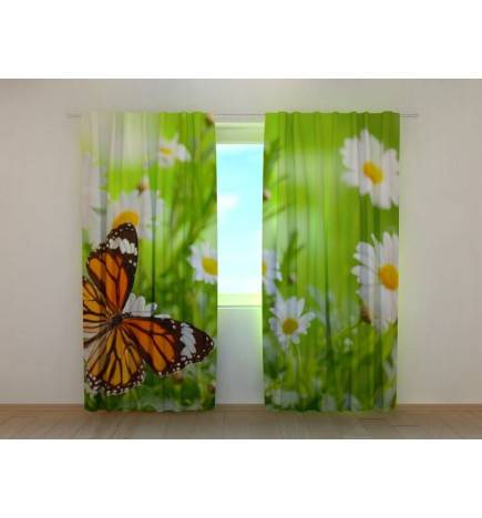 Custom curtain - butterfly and chamomile flowers