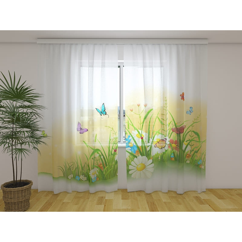 0,00 € Pasūtījuma telts - tauriņi lauka vidū