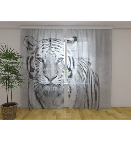Räätälöity verho - mustavalkotiikeri