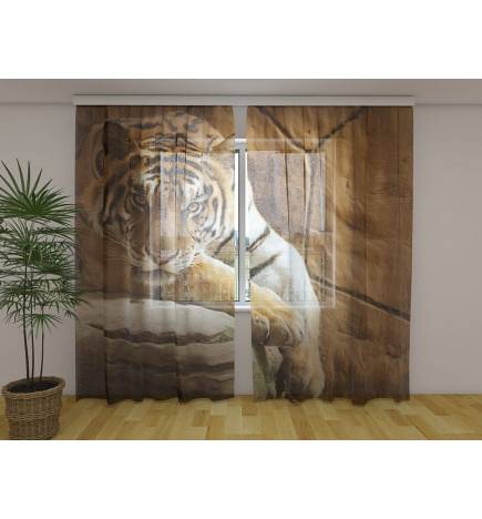 0,00 € Custom tent - with a tiger on a stone