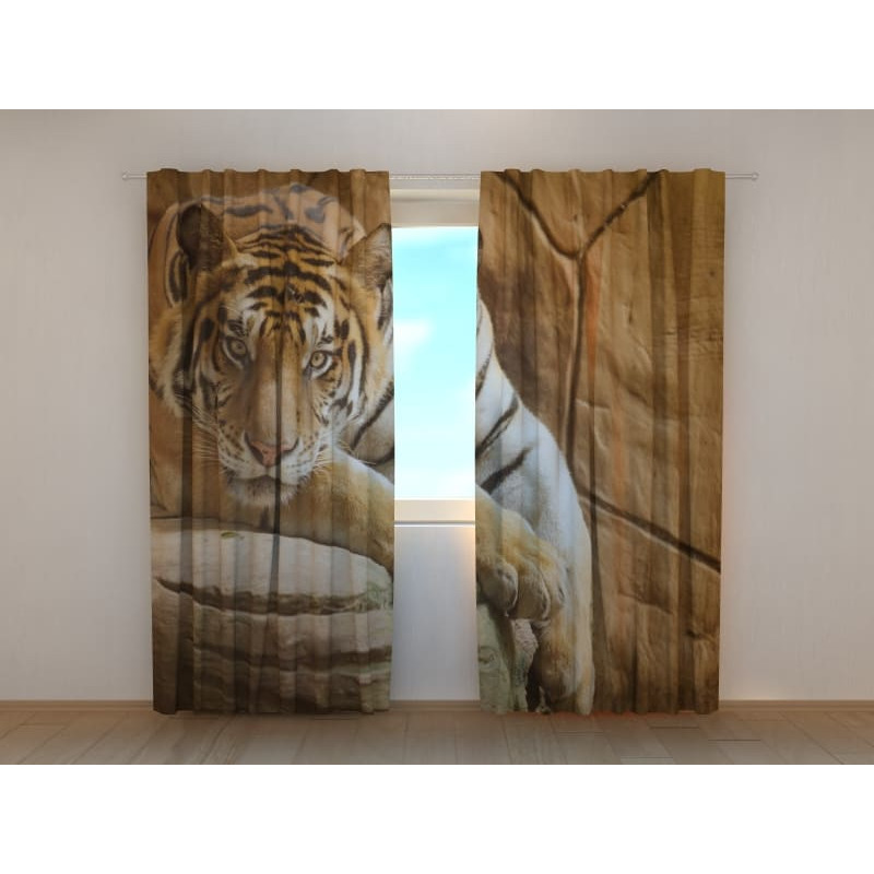 0,00 €Tente personnalisée - avec un tigre sur une pierre