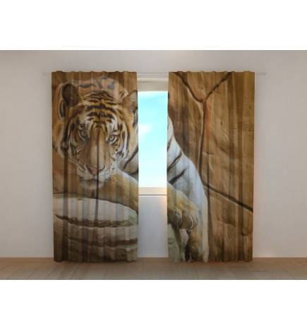 Tilausteltta - tiikeri kivellä