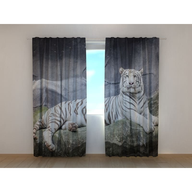 0,00 € Kohandatud telk – laisa ja ärahellitatud tiigriga