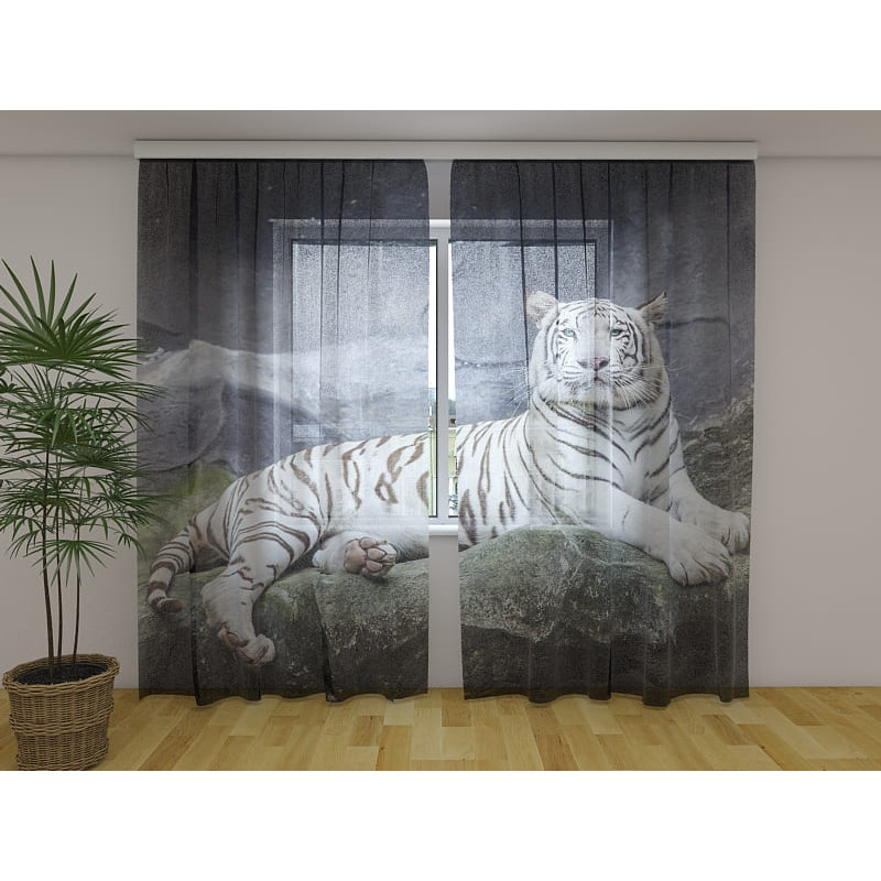 0,00 € Custom tent - with a lazy and spoiled tiger