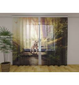 Räätälöity teltta - uteliaan tiikeriin