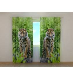 0,00 € Räätälöity teltta - kahdella nuorella tiikereillä