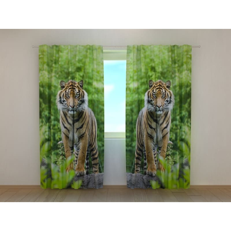 0,00 € Custom tent - with two young tigers